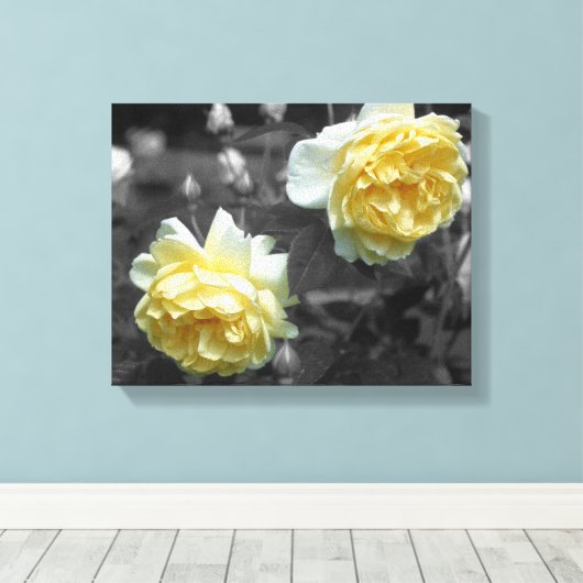 Gele rozenbloemen Gedeeltelijke kleur Canvas Afdruk (Insitu (Houten vloer))