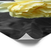Gele rozenbloemen Gedeeltelijke kleur Poster (Hoek)