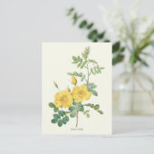  gele rozenbotanische druk briefkaart (Staand voorkant)