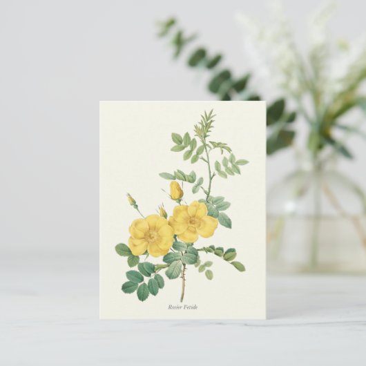  gele rozenbotanische druk briefkaart (Staand voorkant)