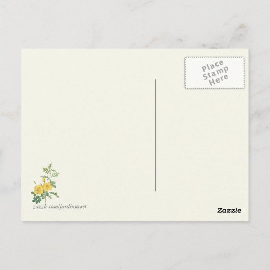  gele rozenbotanische druk briefkaart (Achterkant)