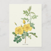  gele rozenbotanische druk briefkaart (Voorkant)