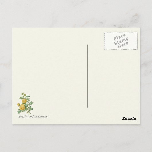 gele rozenbotanische druk briefkaart (Achterkant)