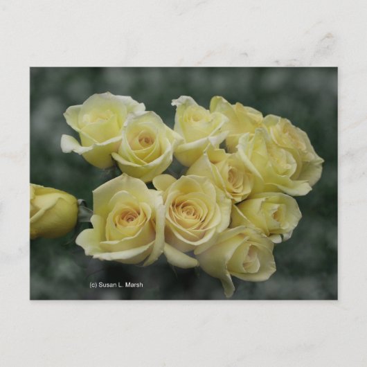 Gele rozenbouquet tegen achtergrond briefkaart (Voorkant)