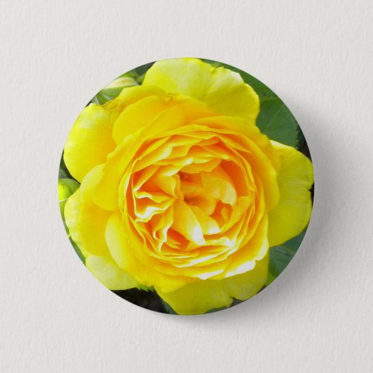 Gele rozenButton Ronde Button 5,7 Cm (Voorkant)