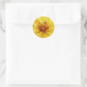 Gele rozencentrikers ronde sticker (Tas)