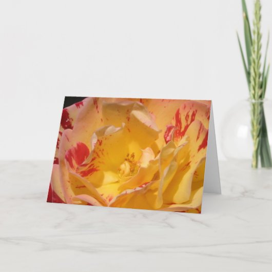 Gele rozenfluitjes voor zoet gebruik kaart (Voorkant)