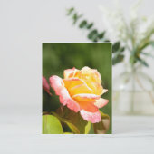 gele rozenfoto briefkaart (Staand voorkant)