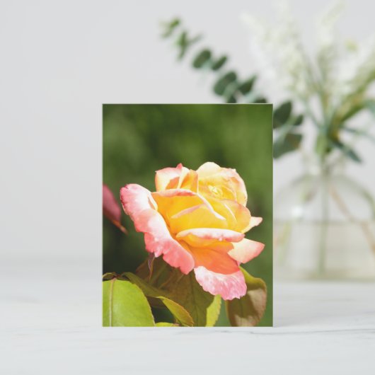 gele rozenfoto briefkaart (Staand voorkant)