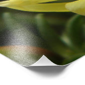 Gele rozenfotografie foto afdruk (Hoek)