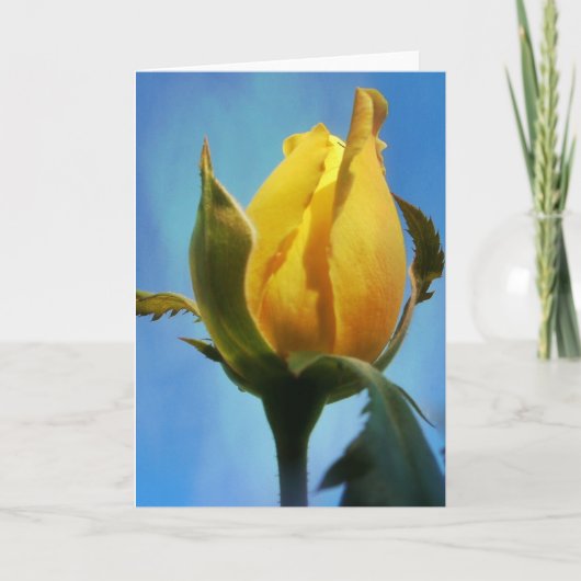 Gele rozenlampjes met Kaart 3:22-23 (Voorkant)