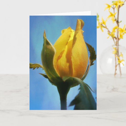 Gele rozenlampjes met Kaart 3:22-23 (Gele Bloem)