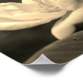 Gele rozenstam in sepia tint poster (Hoek)