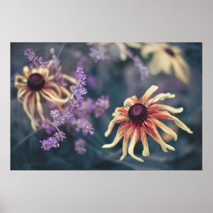 Gele rudbeckia en Paarse lavender Poster