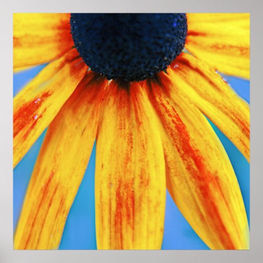 Gele Rudbeckia Flower Macro Abstract Poster (Voorkant)