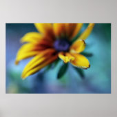 Gele Rudbeckia Flower Macro Abstract Poster (Voorkant)