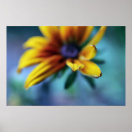 Gele Rudbeckia Flower Macro Abstract Poster