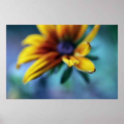 Gele Rudbeckia Flower Macro Abstract Poster (Voorkant)