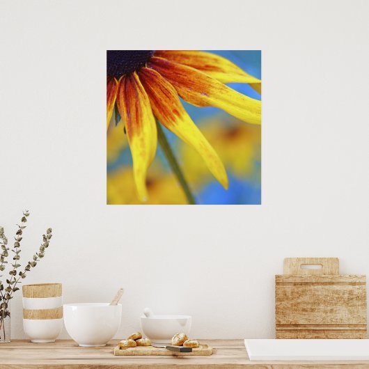 Gele Rudbeckia Flower Macro Abstract Poster (Keuken)