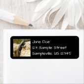 Gele ruggengraat bij Joshua Tree Etiket (Insitu)