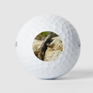 Gele ruggengraat bij Joshua Tree Golfballen