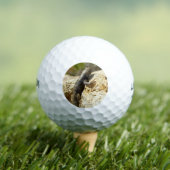 Gele ruggengraat bij Joshua Tree Golfballen (Insitu Shirt)