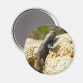 Gele ruggengraat bij Joshua Tree Magneet (Voorkant / Achterkant)