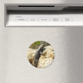 Gele ruggengraat bij Joshua Tree Magneet (Insitu (Vaatwasser))