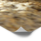 Gele ruggengraat bij Joshua Tree Poster (Hoek)