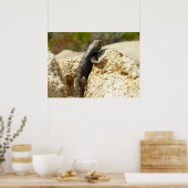 Gele ruggengraat bij Joshua Tree Poster (Keuken)