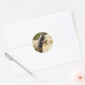 Gele ruggengraat bij Joshua Tree Ronde Sticker (Envelop)