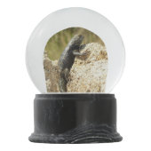 Gele ruggengraat bij Joshua Tree Sneeuwbol (Achterkant)