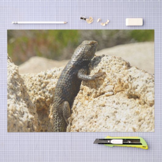 Gele ruggengraat bij Joshua Tree Tissuepapier (Craft)