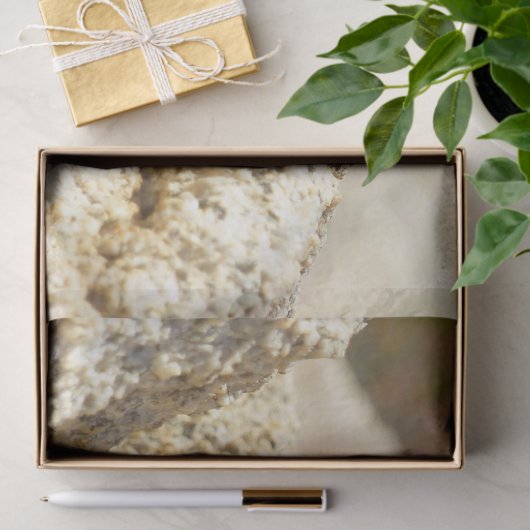 Gele ruggengraat bij Joshua Tree Tissuepapier (Geschenk)