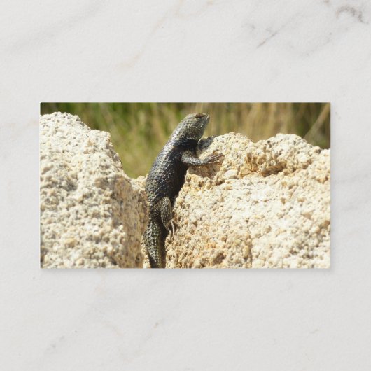 Gele ruggengraat bij Joshua Tree Visitekaartje (Achterkant)