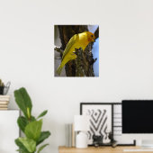 Gele saffron Finch Poster (Thuiskantoor)