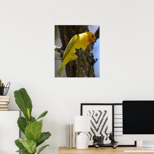 Gele saffron Finch Poster (Thuiskantoor)