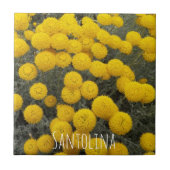 Gele santolina bloeiende struik tegeltje (Voorkant)