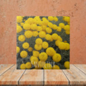 Gele santolina bloeiende struik tegeltje