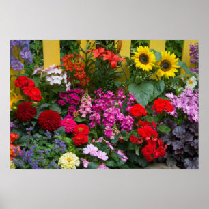 Gele schutting met bloementuin in poster