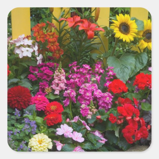 Gele schutting met bloementuin in vierkante sticker (Voorkant)