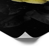 Gele selectieve Hibiscus-kleurenfoto Poster (Hoek)