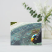 Gele slak die een zonnewijzer bezoekt briefkaart (Staand voorkant)