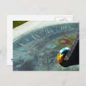 Gele slak die een zonnewijzer bezoekt briefkaart (Voorkant / Achterkant)