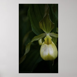 Gele Slipper 2 afdrukken Poster