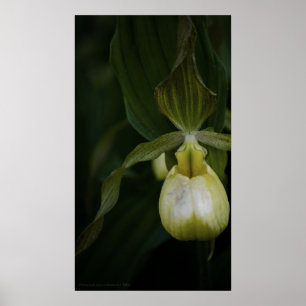 Gele Slipper 2 afdrukken Poster