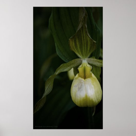 Gele Slipper 2 afdrukken Poster (Voorkant)