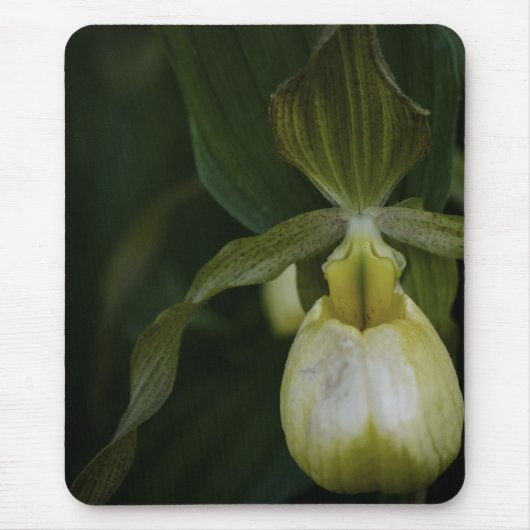 Gele Slipper 2 Mousepad Muismat (Voorkant)