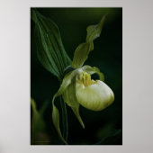 Gele Slipper Print (Voorkant)