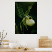 Gele Slipper Print (Keuken)